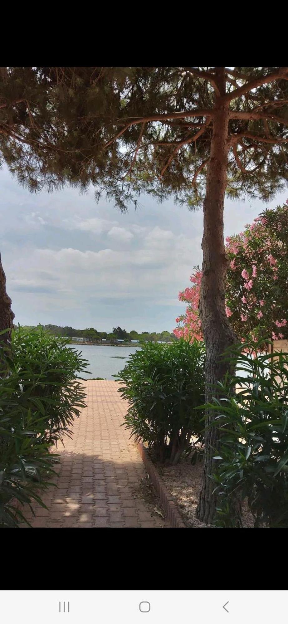 Villa 6P Piscine Spa Privatif Wifi Proche Des Plages Le Barcarès Εξωτερικό φωτογραφία